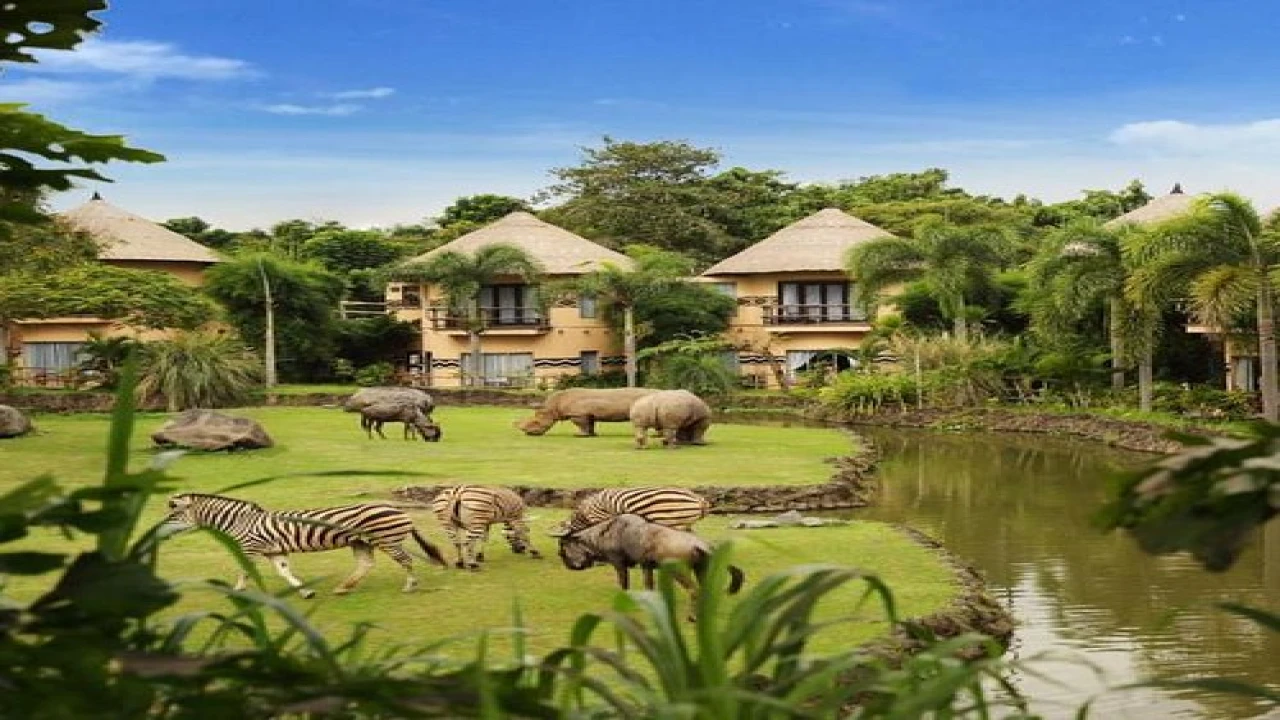 A Guide to Bali’s Wildlife and Nature Reserves