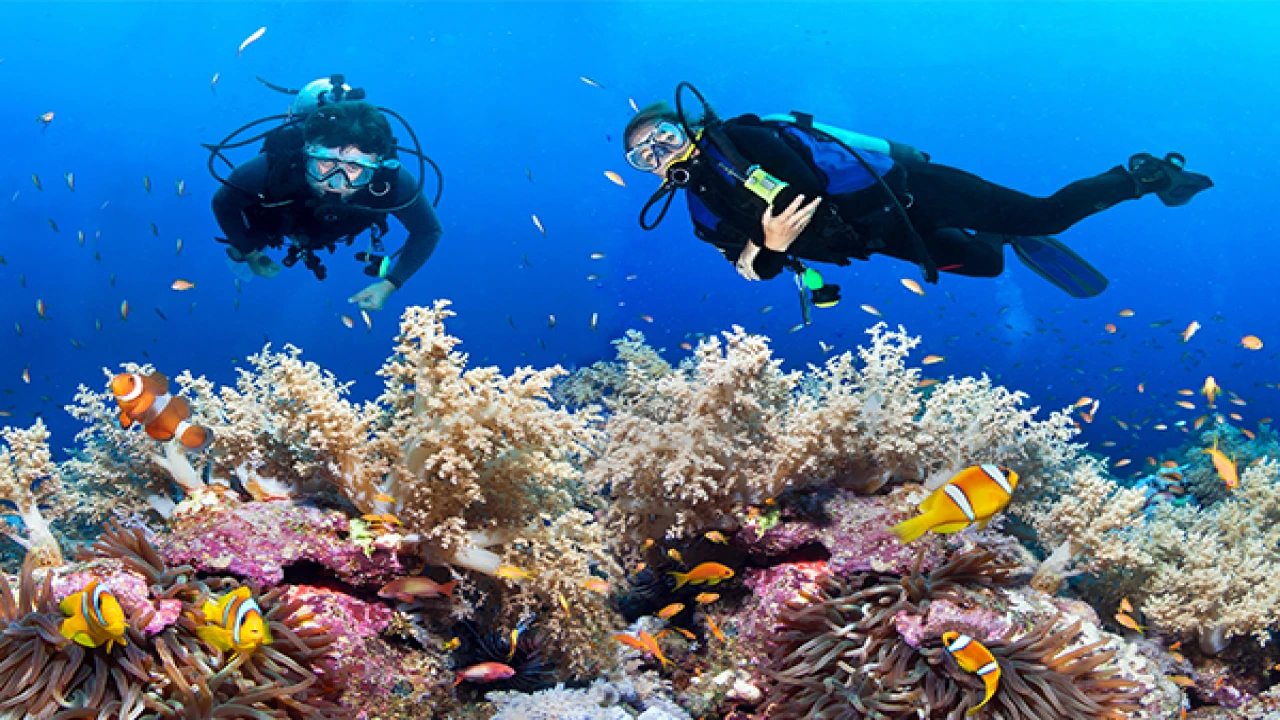 Exploring the Coral Reefs of the Andamans