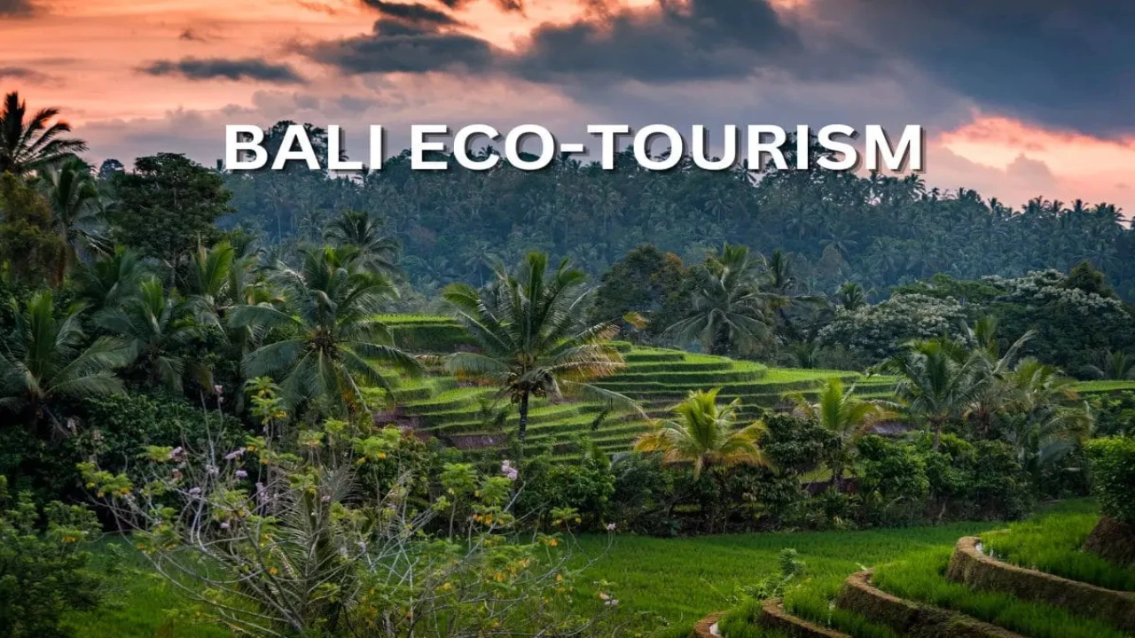 A Guide to Eco-Friendly Travel in Bali